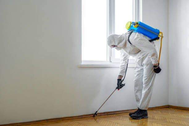 Best Fumigation Services  in Moulton, AL